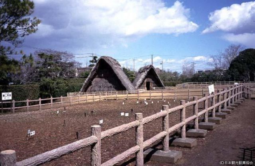 蜆塚遺跡（蜆塚公園）