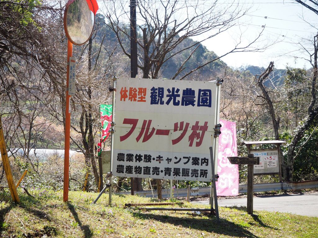 旅名観光農園フルーツ村 予約 アクセス 割引クーポン じゃらんnet