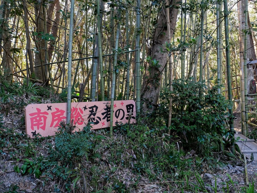 館山 南房総の遊び 体験スポット じゃらんnet