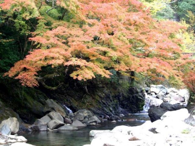 寂地峡の紅葉 アクセス イベント情報 じゃらんnet