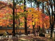 佛通寺「秋の紅葉」秋季特別拝観の写真1