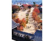 松山城の紅葉の写真1