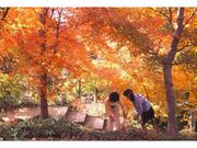 宇治市植物公園　紅葉フェスタの写真1