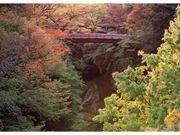 猿橋の紅葉の写真1