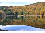四尾連湖の紅葉の写真1