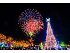 EC^[C~l[V2025-2026@kC~̎ʐ^1