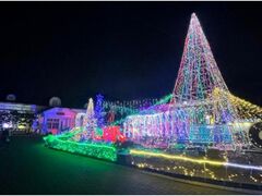 萩イルミネフェスタの写真1