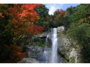 五家荘の紅葉の写真1