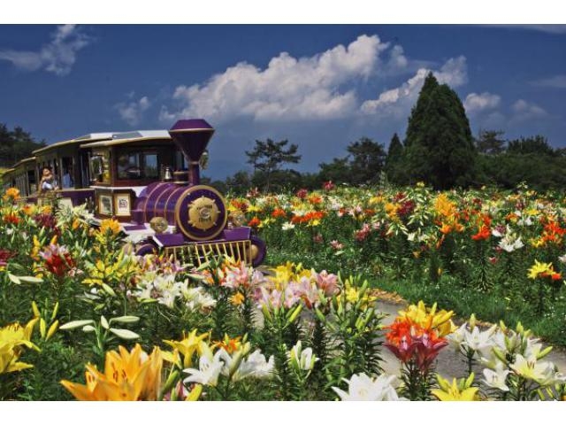 びわこ箱館山ゆり園・箱館山コキアパーク