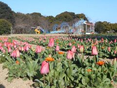杜の庭園リフレッシュパーク豊浦　紫陽花まつりの写真1