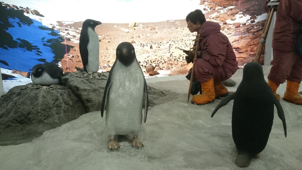 【中古】 南仏のくらし、発見の旅。 中古】 南仏のくらし、発見の旅。