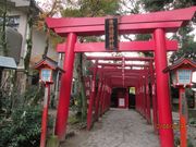Otamaさんの青井阿蘇神社への投稿写真1