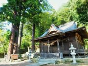 雷ちゃんさんの日枝神社（静岡県伊豆市）の投稿写真1