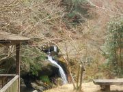 雪乃さんの京都府立るり渓自然公園への投稿写真1