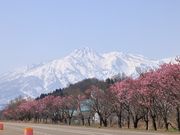 とくちゃんさんの妙高山への投稿写真1