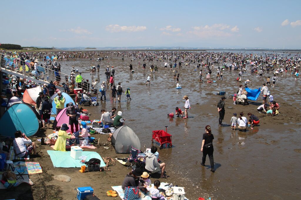 富津海岸潮干狩り