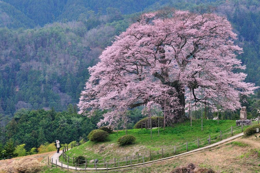 醍醐地蔵院日記