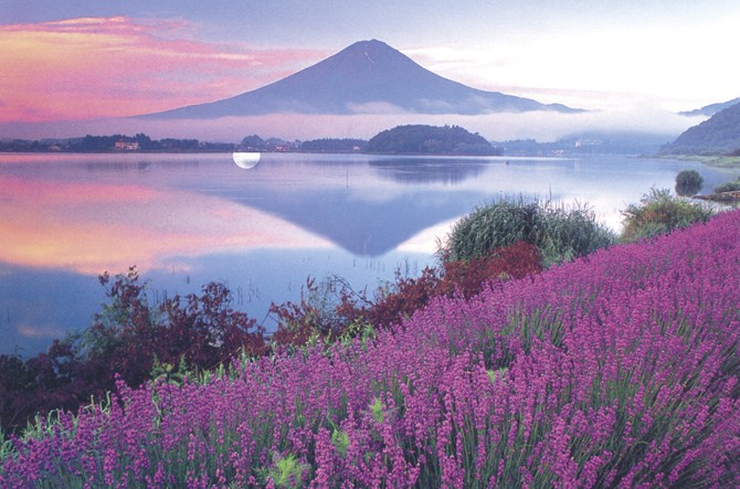 河口湖周辺観光はサイクリングが楽しい おすすめ富士周遊コース じゃらんニュース