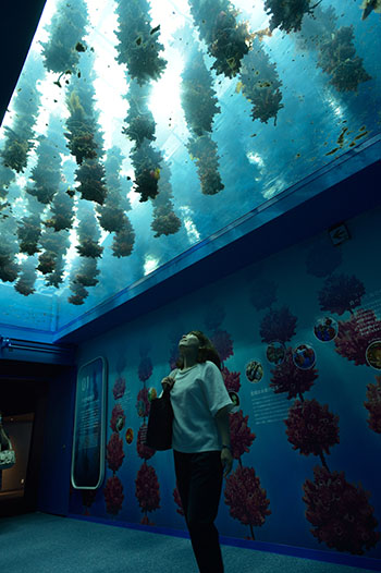 仙台市にオープン 仙台うみの杜水族館 のここがおもしろい じゃらんニュース