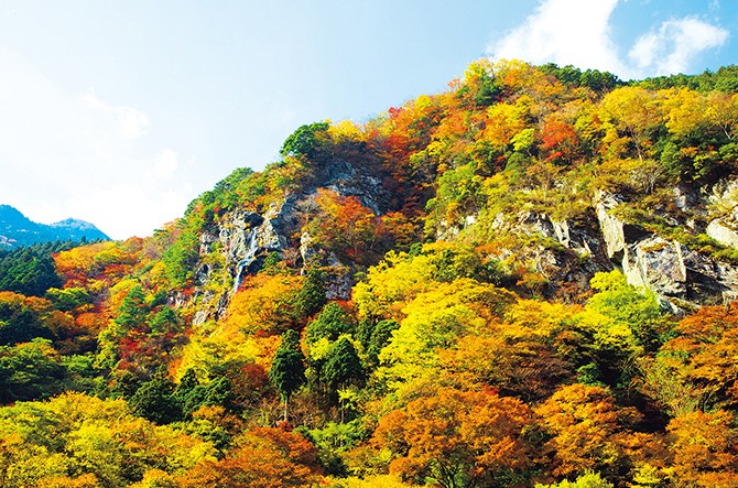 アクセス楽々 香川 愛媛の近場で発見 秋のおすすめ紅葉絶景名所8選 じゃらんニュース