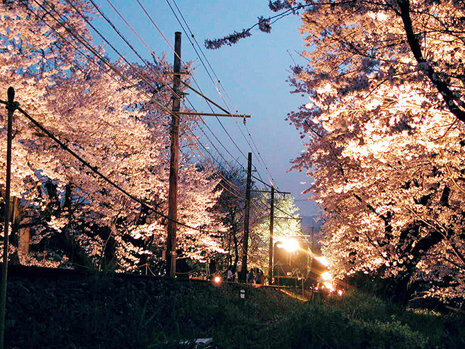 京都 18年 桜の絶景名所 おすすめ13選 開花時期 見頃 ライトアップ情報も 2 じゃらんnet