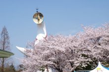 春に行きたい【大阪】おすすめ観光スポット20選！定番から穴場まで