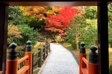 【神戸】秋の家族旅行におすすめ観光スポット19選！定番から穴場まで