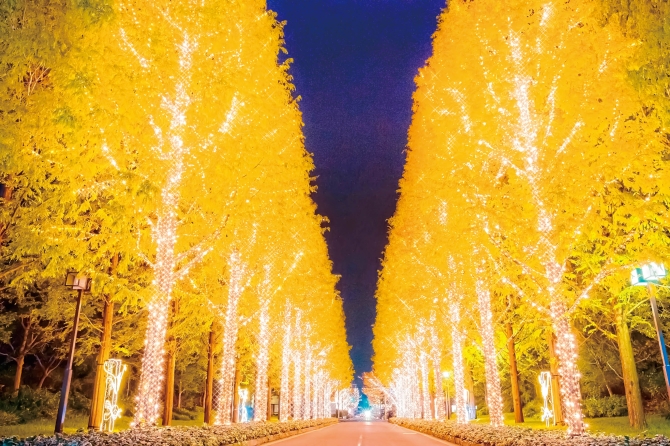 京都で幻想的なクリスマスデートを 18年おすすめデートスポット6選 人気の名所も じゃらんニュース