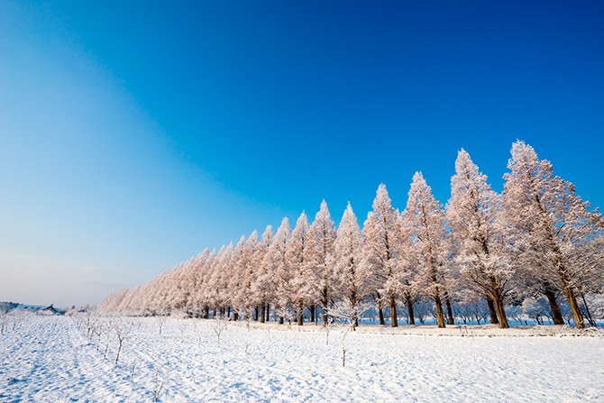 関西近郊 冬のおすすめ日帰りデートスポット13選 感動の雪絶景も じゃらんニュース