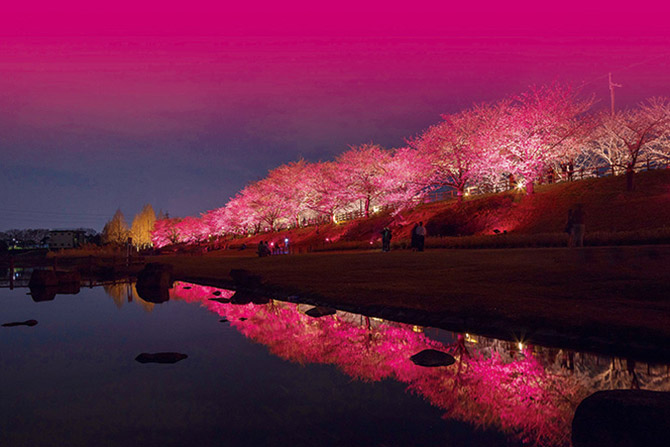 19 関西 桜絶景 おすすめ30選 名所から穴場 開花時期 見頃 混雑情報も 3 じゃらんnet