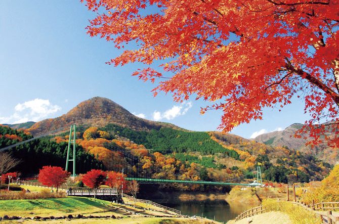 3連休に東京都内でやりたいこと6選 秋らしい休日を過ごしてみて 19年11月 じゃらんニュース