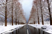 【全国】冬に行きたいドライブスポット39選！澄んだ空気の中“冬絶景”を見に行こう
