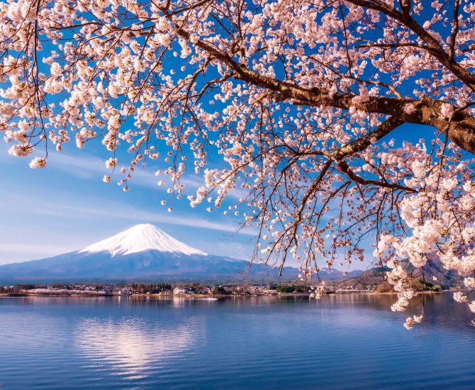 花と富士山」の絶景6選！色鮮やかな春の景色を満喫【山梨・静岡】｜じゃらんニュース