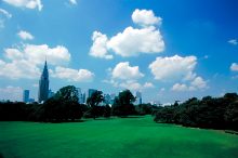 【東京23区】都内の広い公園ランキング20！自然散策やピクニック、遊べる広場も♪＜…