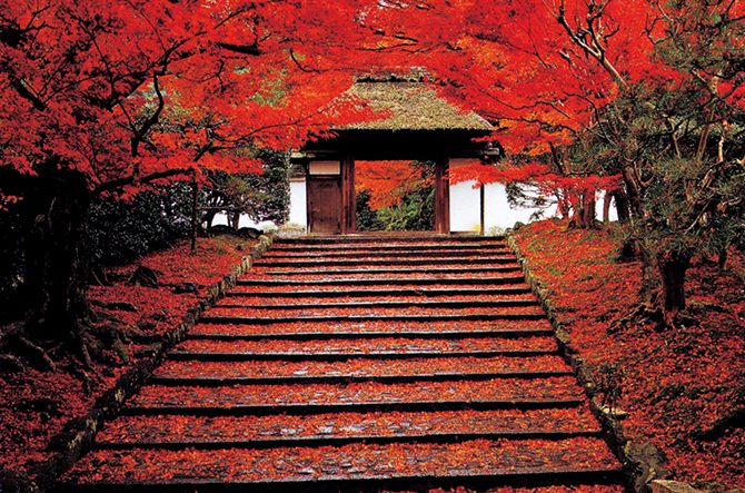 最新 秋に行きたい京都の紅葉名所11選 混雑回避のポイントも じゃらんニュース