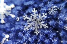 「雪の結晶」はなぜ六角形なの？種類別の形や観察方法などをわかりやすく解説！