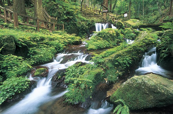 【2021】日本全県の避暑地47選！夏でも涼しい高原や滝、鍾乳洞など厳選
