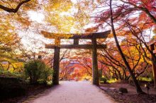 【九州】秋のドライブスポット43選！日帰りデートや絶景巡りにもおすすめ＜2021＞