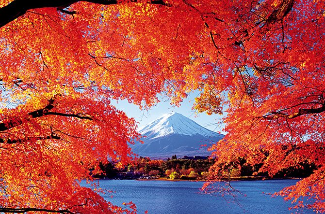 11月におすすめ「関東甲信越のドライブコース」6選。秋の日帰りデートや観光に＜2021＞