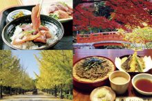 【関東】グルメを楽しむ日帰りドライブコース10選！海鮮や新蕎麦、秋の味覚が旨い＜2…