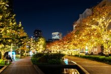 東京ミッドタウンで「MIDTOWN CHRISTMAS 2021」が開催！幻想的な…