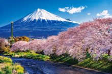 【全国】一度は行きたい「春の絶景スポット」おすすめ125選！日本の春景色に感動＜2…