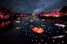 【全国】2022年夏の「灯りイベント」8選！清水寺のライトアップやちょうちん祭りも