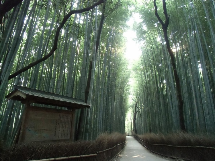 京都 嵐山ドライブスポットおすすめ選 世界遺産の寺院にパワースポットも じゃらんレンタカードライブガイド