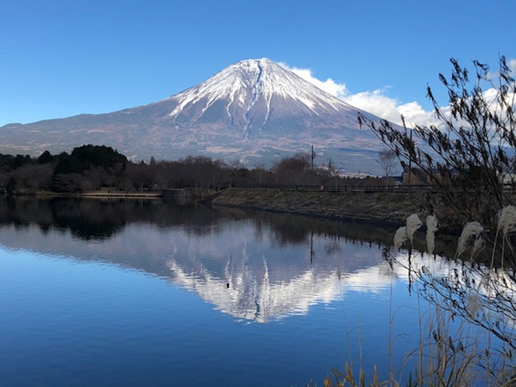 静岡 富士のドライブスポットおすすめ18選 富士山がきれいにみえるスポットも じゃらんレンタカードライブガイド