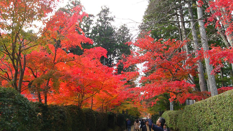 和歌山ドライブスポット10選 紅葉狩り 冬休みのおでかけにおすすめ じゃらんレンタカードライブガイド