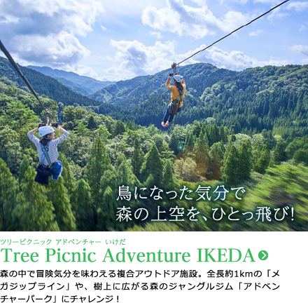Tree Picnic Adventure IKEDA