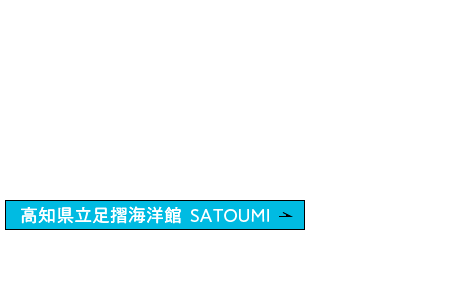 mCm  SATOUMI