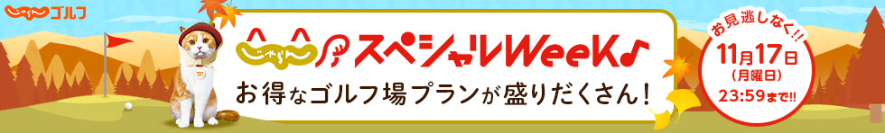 St̃XyVEB[NIԌłȃvfڒ