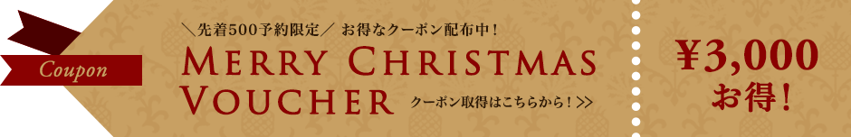 _撅500\^ ȃN[|zzI Merry Christmas Voucher N[|擾͂炩I ¥3,000 OFF